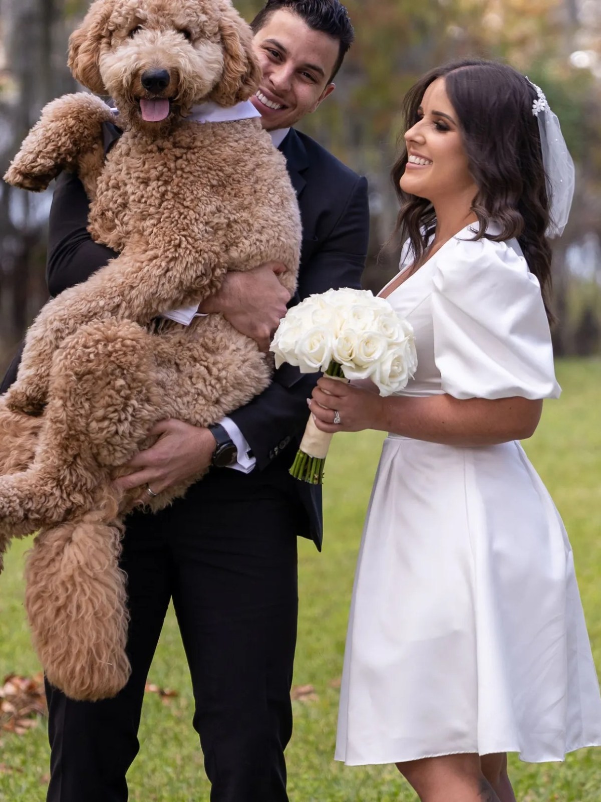 Couple in wedding attire with a large brown dog in a grassy area.