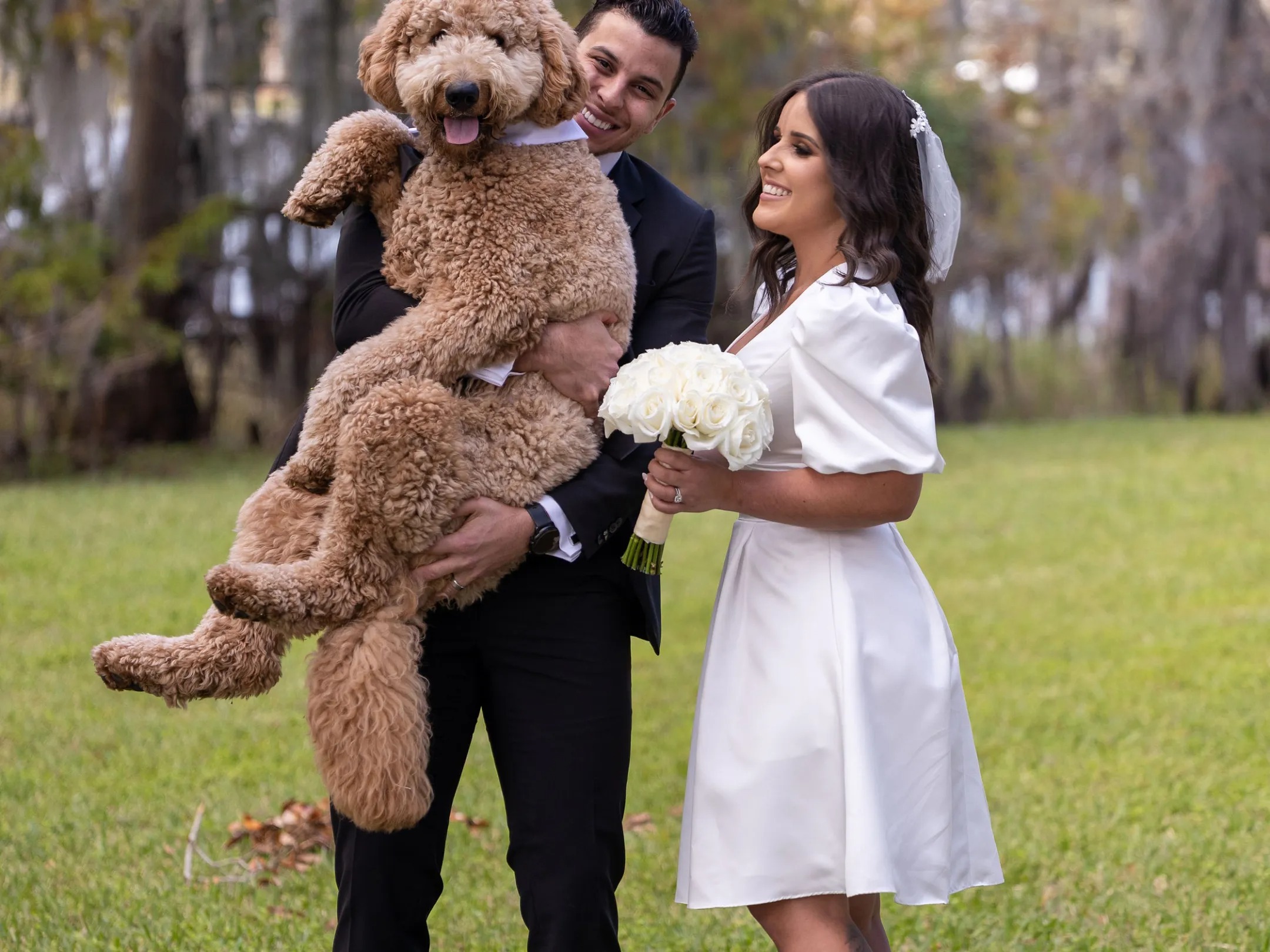 Couple in wedding attire with a large brown dog in a grassy area.