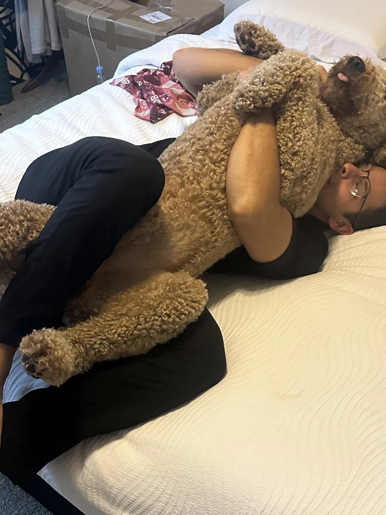Person lying on bed cuddling a large, fluffy dog.